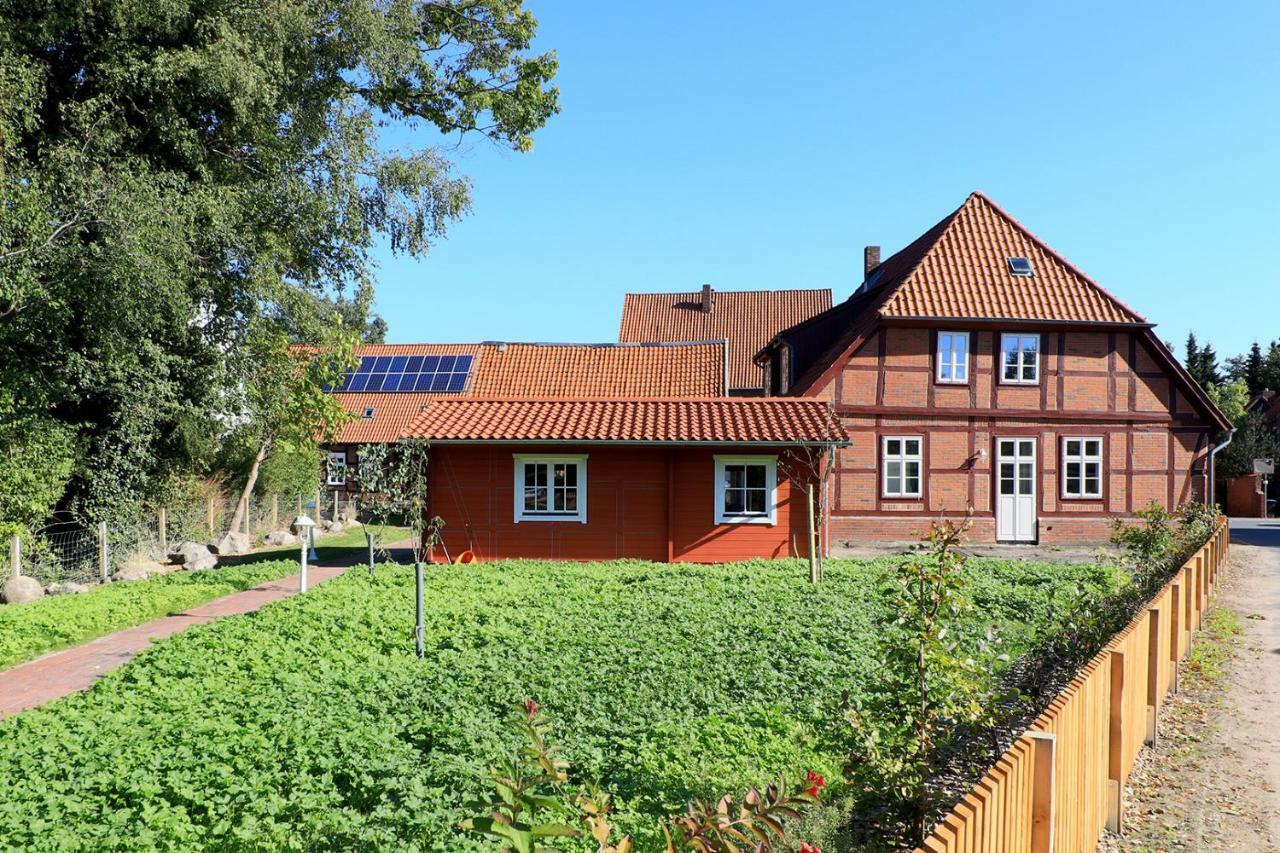Appartamento Alte Schmiede Bleckede Esterno foto